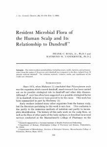 Resident Microbial Flora of the Human Scalp and Its