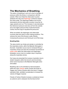 The Mechanics of Breathing