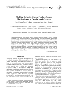 Modeling the Insulin-Glucose Feedback System: The Significance of