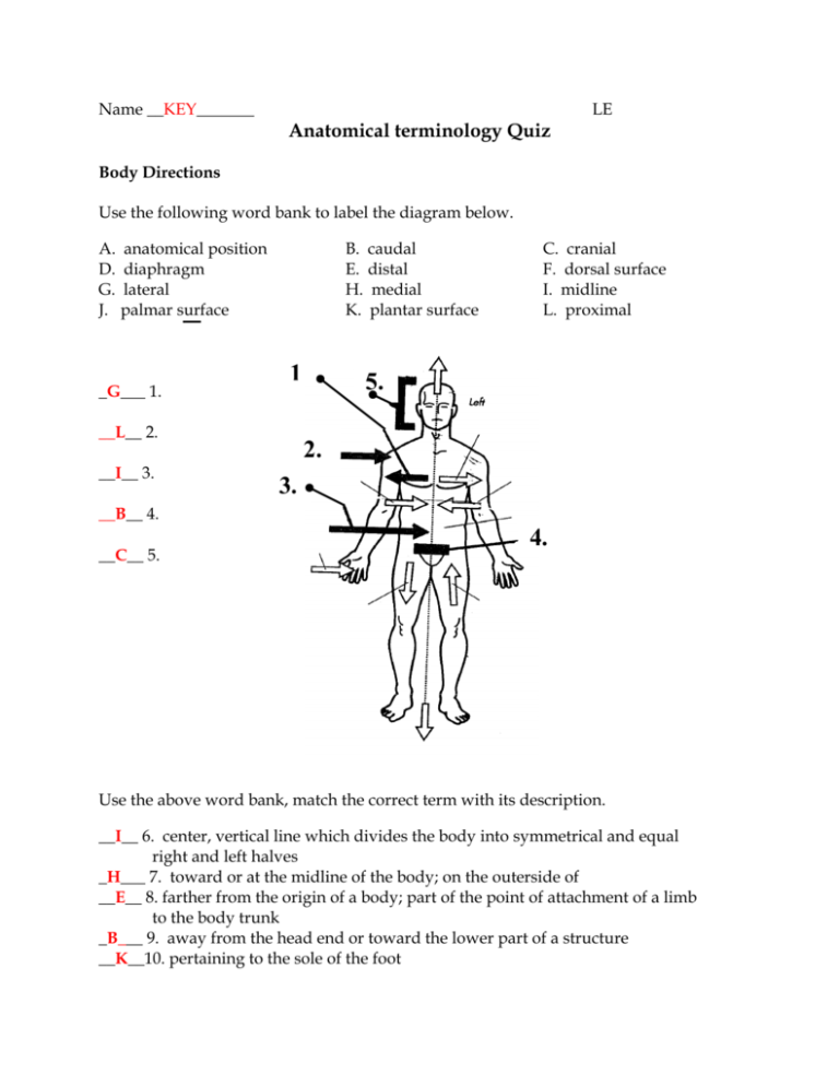 anatomical-terminology-quiz