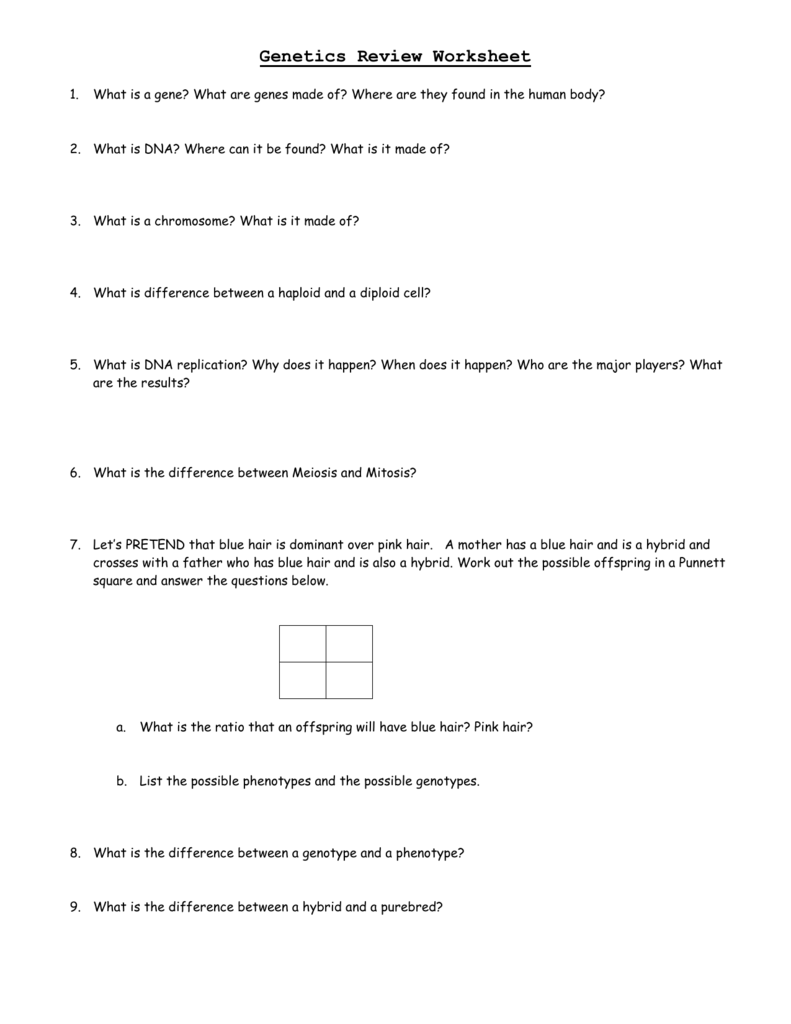 genetics-review-worksheet