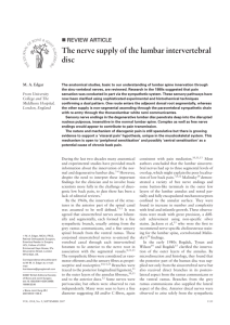 The nerve supply of the lumbar intervertebral disc