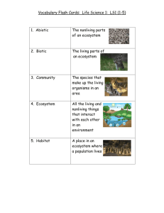 Vocabulary Flash Cards: Life Science 1: LS1 (1
