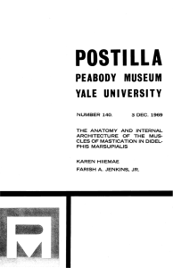 Yale Peabody Museum Postilla - Yale Peabody Museum of Natural