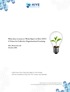 What does it mean to “Work Open” in Hive NYC? (DRAFT).docx