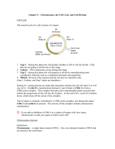 Chapter 9 – Chromosomes, the Cell Cycle, and Cell Division