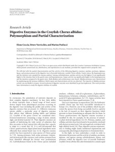 Digestive Enzymes in the Crayfish Cherax albidus: Polymorphism