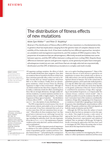 The distribution of fitness effects of new mutations