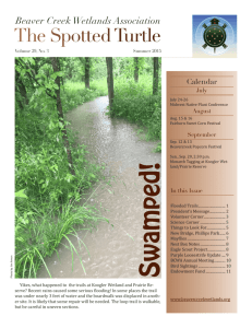 Swamped! - Beaver Creek Wetlands Association