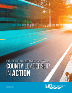 Partnering in Government Innovation: County Leadership in Action