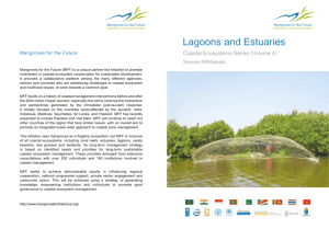 Lagoons and Estuaries