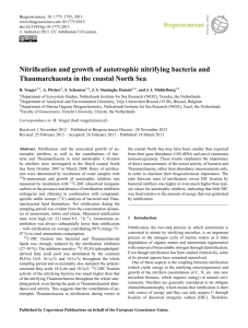 Nitrification and growth of autotrophic nitrifying bacteria and