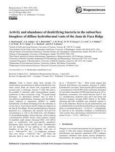 Activity and abundance of denitrifying bacteria in