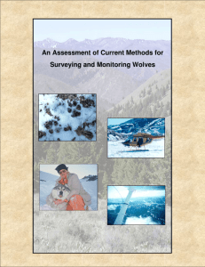 An Assessment of Current Methods for Surveying and Monitoring