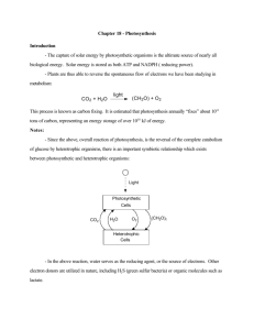 CO2 + H2O light (CH2O) + O2 Chapter 18
