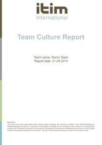 Team Culture Report - itim International