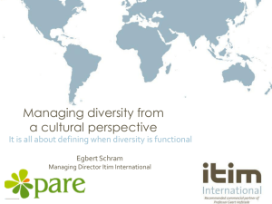 Managing diversity from a cultural perspective