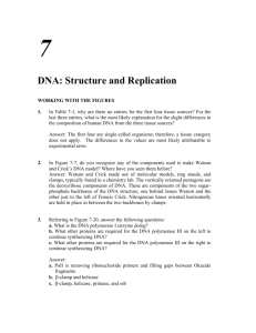 DNA: Structure and Replication