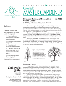 MASTER GARDENER - Jones Tree & Lawn