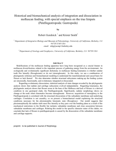 Historical and biomechanical analysis of integration and