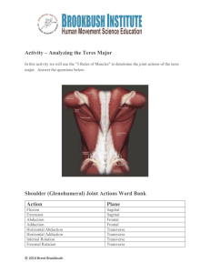 Activity – Analyzing the Teres Major Shoulder (Glenohumeral) Joint