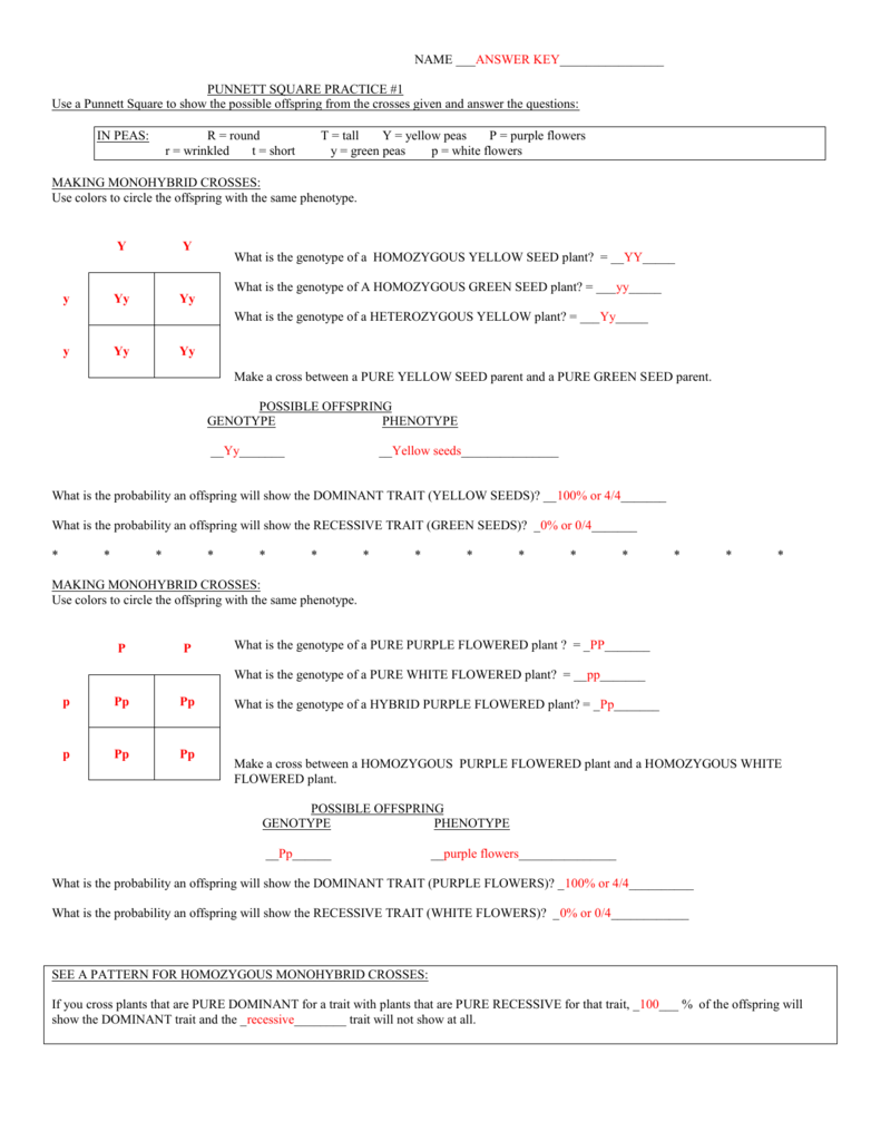 answer Within Monohybrid Cross Worksheet Answers
