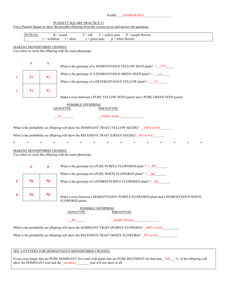 Punnett square practice 1 worksheet answers