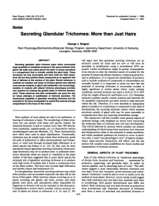 Secreting Glandular Trichomes: More than Just Hairs