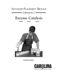 Enzyme Catalysis Lab - Berkley School District