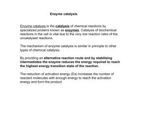 Enzyme catalysis - Cavanagh-lab