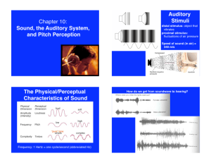 Chapter 10: Sound, the Auditory System, and Pitch Perception