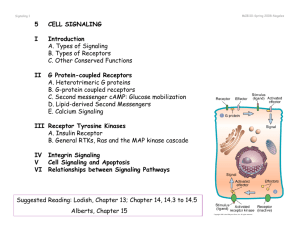 5 CELL SIGNALING I Introduction A. Types of Signaling B. Types of