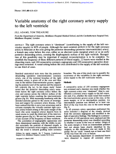Variable anatomy of the right coronary artery supply to the