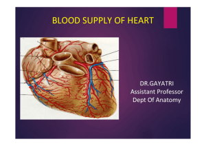 BLOOD SUPPLY OF HEART