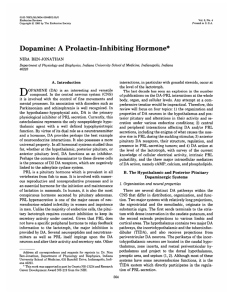 Dopamine: A Prolactin