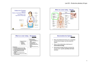 Lect E2 - Endocrine pituitary & hypo (K K DEV)