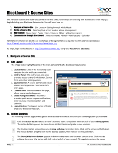 Blackboard 1: Course Sites