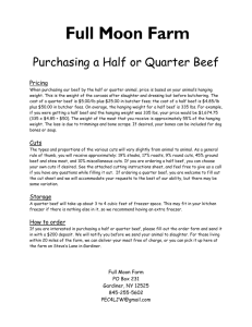 Purchasing a Half or Quarter Beef