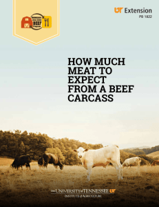 How Much Meat to Expect from a Beef Carcass