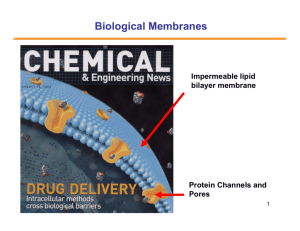 Biological Membranes - UCI Physics and Astronomy