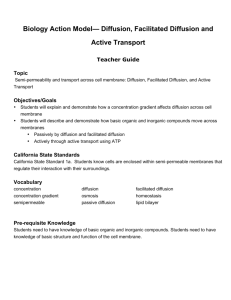 Biology Action Model— Diffusion, Facilitated Diffusion