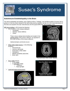 Autoimmune Endotheliopathy in the Brain