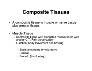Composite Tissues