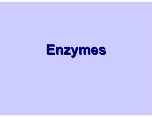 Enzymes - Citrus College