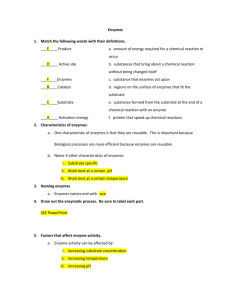 Enzyme warm-up_answers
