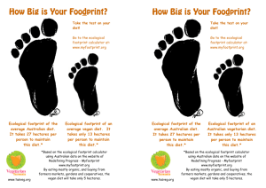 Foodprint Flyer - Vegetarian Tasmania