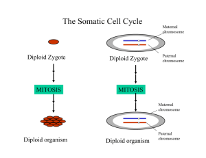 The Somatic Cell Cycle