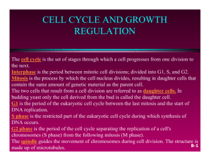 CELL CYCLE AND GROWTH REGULATION