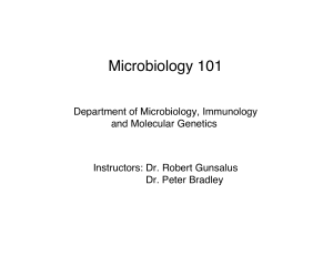 Microbiology 101