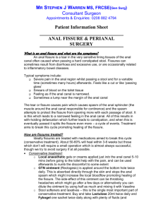 Patient Information Sheet ANAL FISSURE & PERIANAL SURGERY